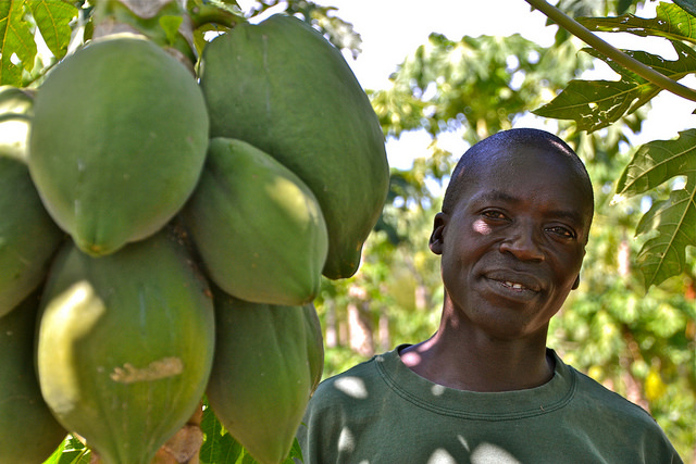 Visit to John Oboum's climate-smart farm site in Western Kenya. Photo: C. Schubert (CCAFS) 