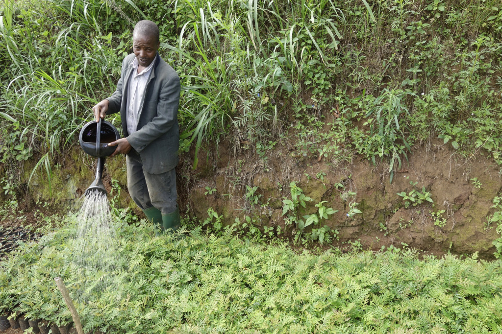 New study outlines components useful for an agriculture-focused climate readiness program while outlining lessons learned from the REDD+ readiness program. Photo: P. Kimeli (CCAFS)