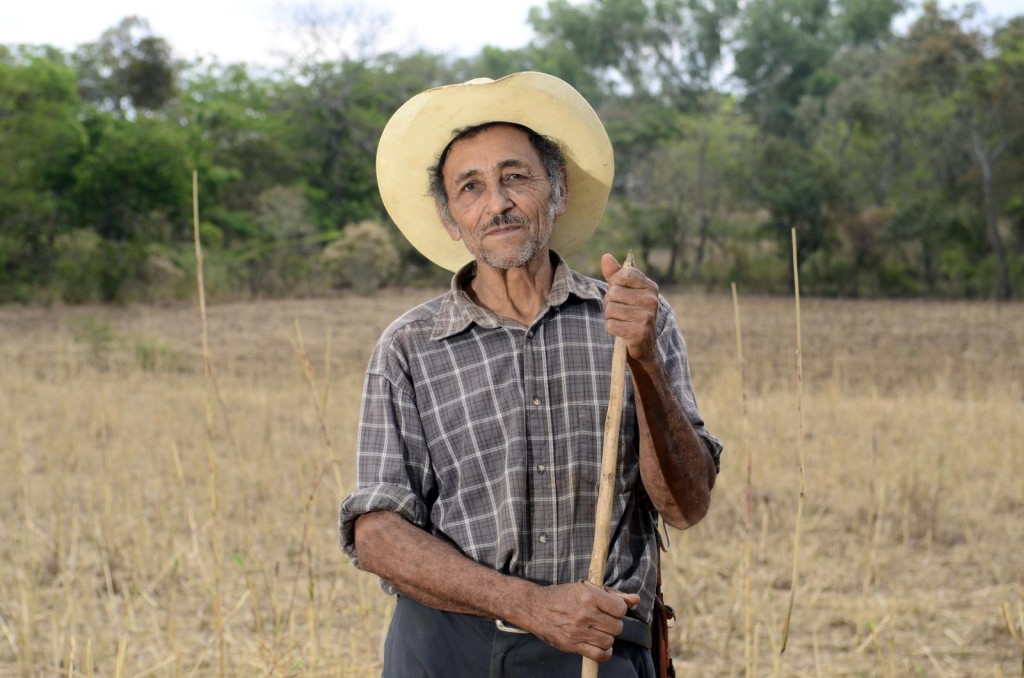 Drought and erratic rainfall patterns are severely affecting food production all over the world. Photo: N. Palmer  