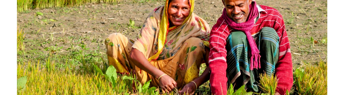 Charting gender issues in agricultural development research under climate change